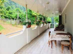 Отель Family Hotel Tsiskari  Хелвачаури